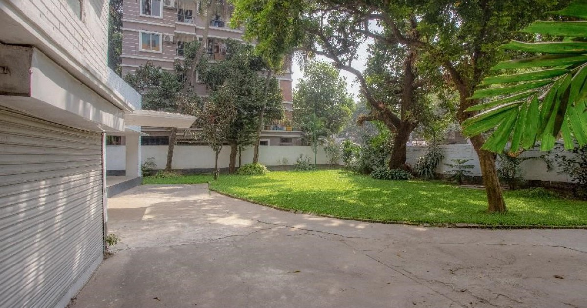 The mango tree as a neighborhood feature